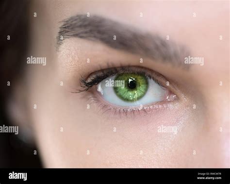 Green Eyebrows Hi Res Stock Photography And Images Alamy