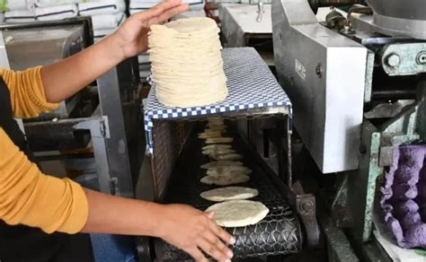 Profeco Reporta Precio Estable De La Tortilla En Sinaloa