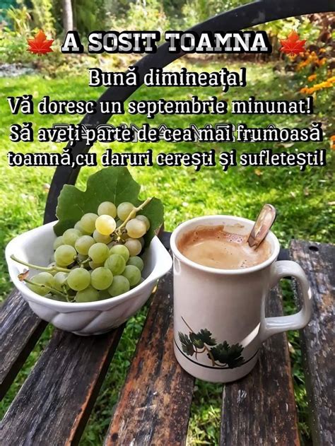 Pin By 💜nico😇 Ștef🙏 On Bună Dimineața Good Morning Seasons Cards