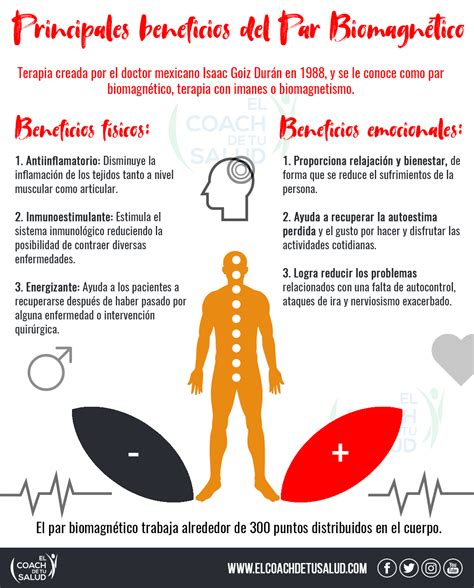 Por Qu El Par Biomagn Tico Es Una Maravilla El Coach De Tu Salud