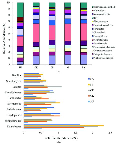 A Relative Abundance Of The Dominant Bacteria Phyla Top 10 In All