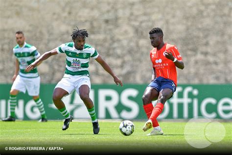 Liga 2 SABSEG Covilha X Oliveirense Fotos Zerozero Pt