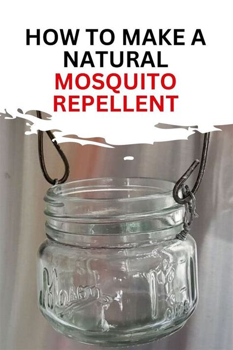 Easy Diy Homemade Natural Mosquito Repellent In Diy Mosquito