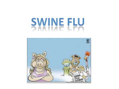 Swine Flu Ppt