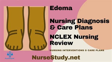 Edema Nursing Diagnosis and Care Plan - NurseStudy.Net