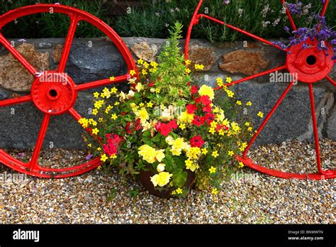 Flower Decoration In A Garden Old Iron Wagon Wheels Stock Photo Alamy