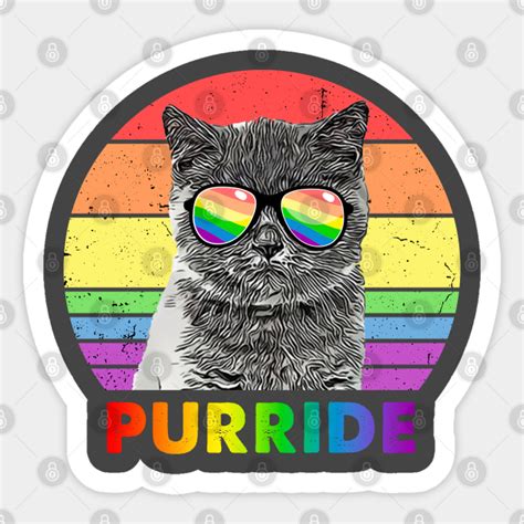 Funny British Shorthair Cat Rainbow Gay Pride Lgbtq Lgbtq British