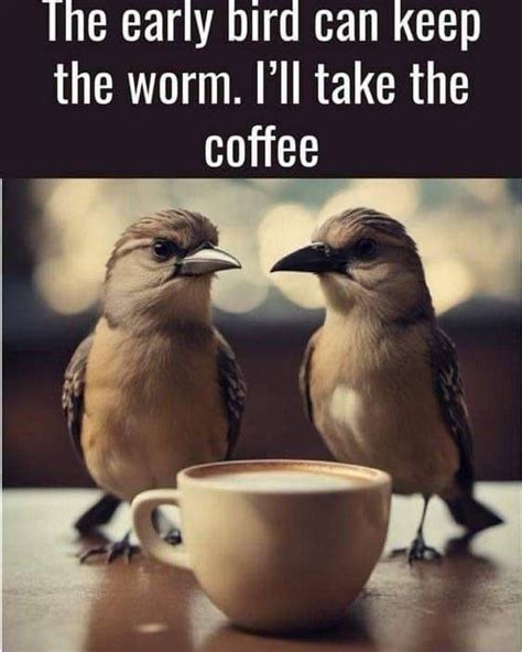 Pin By Tracey Mckie On Life Funnies In 2024 Coffee Jokes Coffee