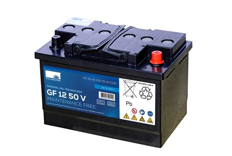 Sonnenschein GF 12 50 V GEL 55Ah Batterie Swissbatt24 Ch