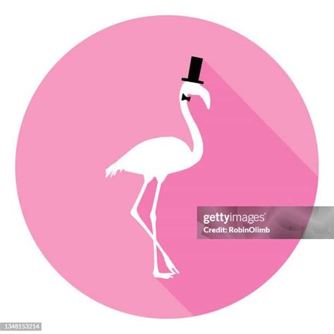 Flamingo Hat Photos And Premium High Res Pictures Getty Images