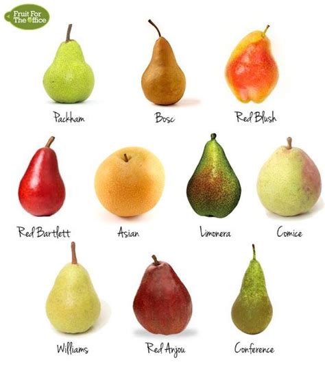 20121010 Types Of Pearshtml
