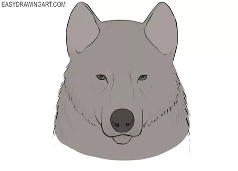 How To Draw A Wolf Face Easy Drawing Art