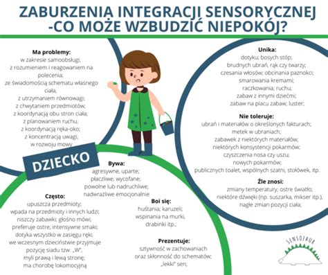 Indywidualna Diagnoza I Terapia Integracji Sensorycznej Bydgoszcz