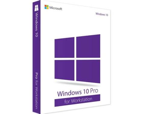 Windows 11 Professional for Workstation - Retail Key | DigitaLicence