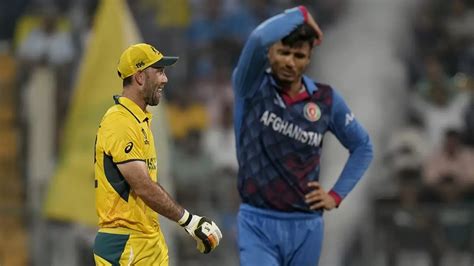 Australia Vs Afghanistan Icc Cricket World Cup Glenn Maxwell