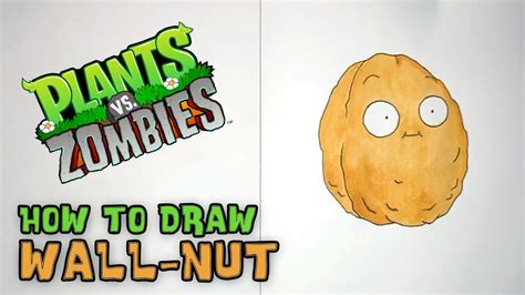 How To Draw Wall Nut Plants Vs Zombies Youtube