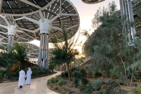 Terra The Sustainability Pavilion Expo Dubai Projects Grimshaw