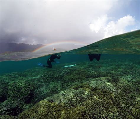 Dr Kristen Brown On Twitter Another Beautiful Day On The Reef Himb