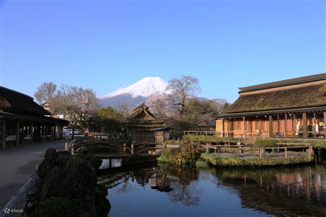 1 Day Mt Fuji Lake Kawaguchiko Cherry Blossoms Tour Oshino Hakkai