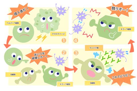 抗体ってなに？予防接種との関係について解説 やさしいlps