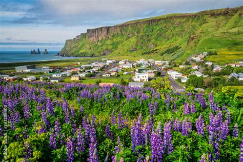 Foto De Beautiful Town Of Vik I Myrdal In Iceland In Summer The