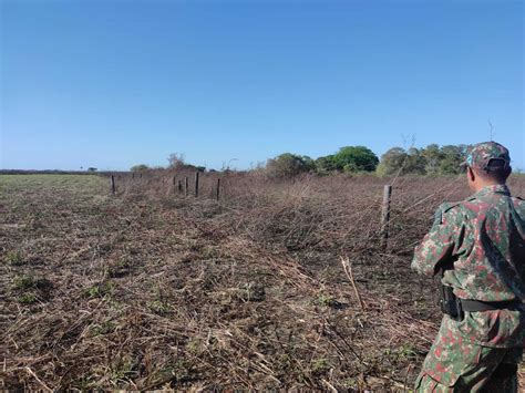 Pol Cia Ambiental Aplica R Mil Em Multas Por Inc Ndios Florestais