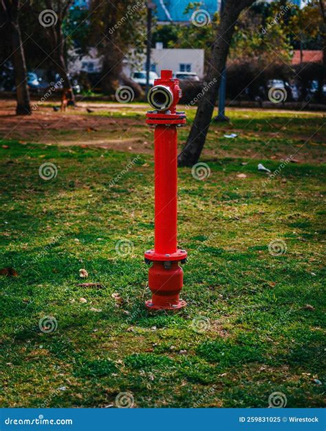 Fire Hydrant In A Green Area In Tel Aviv Israel Stock Image Image Of