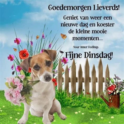 Pin Van Nicole Noens Op Goedemorgen Goedemorgen Lieverd Goedemorgen