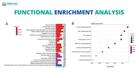 Functional Enrichment Analysis Biocode