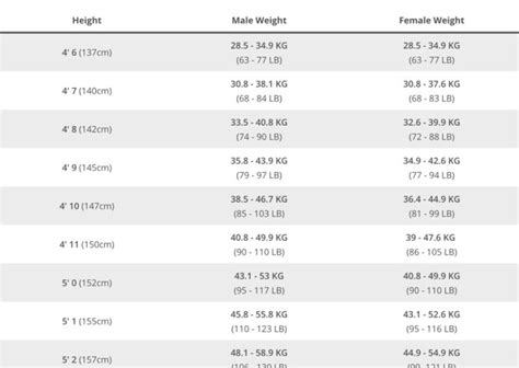 What Is The Average Height To Body Weight For Bodybuilding