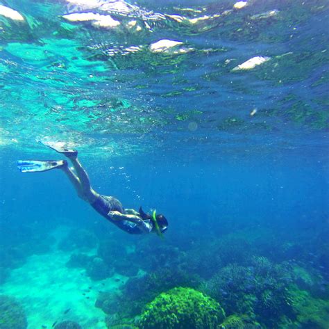 Snorkeling In Zanzibar: The Perfect Vacation Destination – DesertDivers