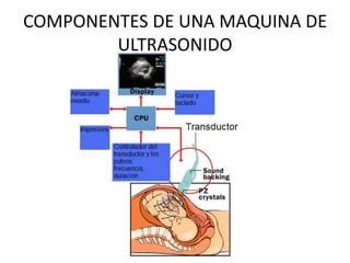 Principios B Sicos De Ultrasonido Ppt