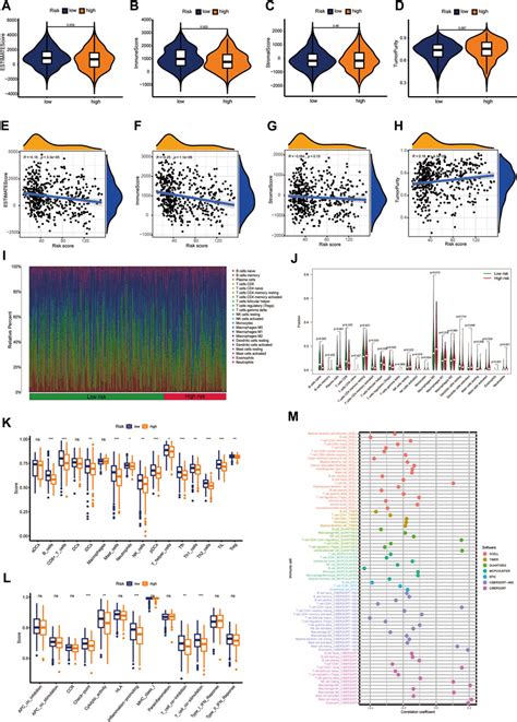 Frontiers Machine Learning Based Identification Of A Consensus Immune