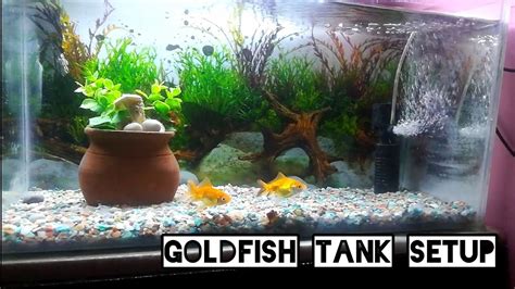 Goldfish Tank Setup And Caring Tips Youtube