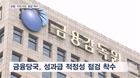 보험·카드사도 성과급 잔치금융당국 점검 착수 네이트 뉴스