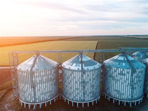 Grain Silos On A Green Field Background With Warm Sunset Light Grain