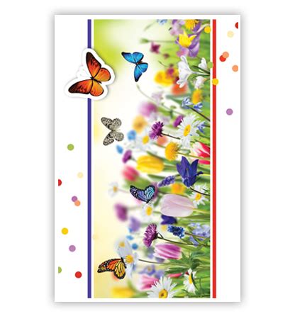 Vlinders Bloemen En Stippen PrimeurCards