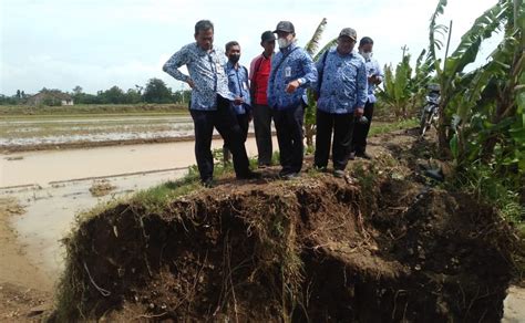 Lokasi Jebolnya Tanggul Penyebab Banjir Di Desa Clering Ditinjau Dinas