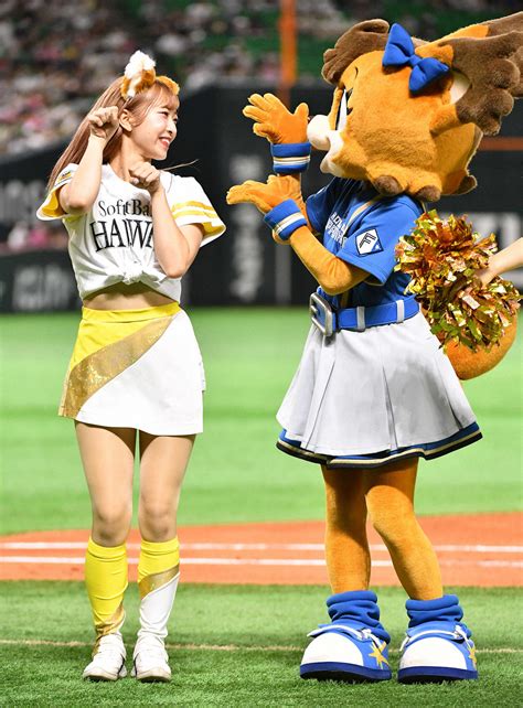 【写真特集】ソフトバンク「ハニーズ」は“きつね化”することも？／12球団踊る勝利の女神 プロ野球ライブ速報写真ニュース 日刊スポーツ