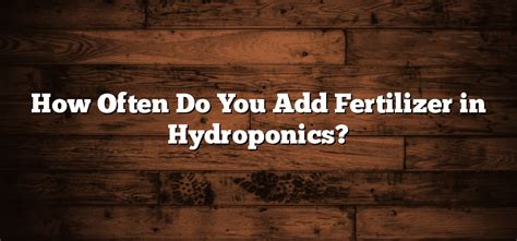 How Often Do You Add Fertilizer in Hydroponics? - Inter Culturalu