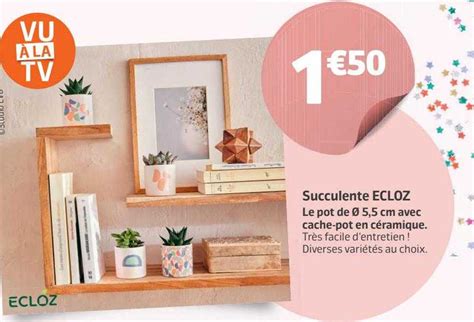 Promo Succulente Ecloz Chez Jardiland ICatalogue Fr