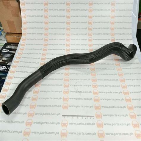 Radiator Hose Lower Volvo Xc B T Twincell