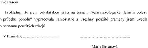 NEFARMAKOLOGICKÉ TLUMENÍ BOLESTI V PRŮBĚHU PORODU PDF Stažení zdarma