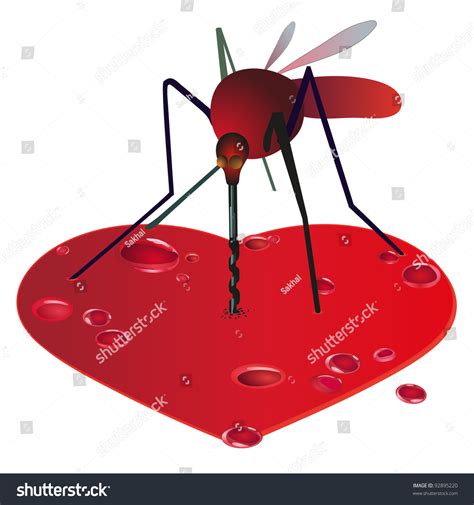 Mosquito On Red Bleeding Heart Stock Vector Royalty Free 92895220 Shutterstock