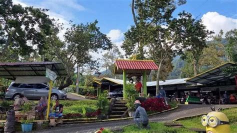 Fresh Green Trawas Mojokerto Rekomendasi Wisata Kuliner Durian Yang