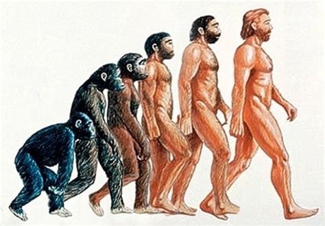 Evolution of Homo Sapien - Please DO NOT PAY ATTENTION to the