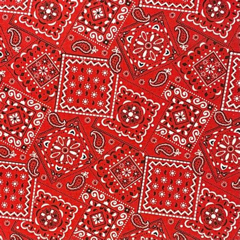 Red Paisley Bandana Pattern