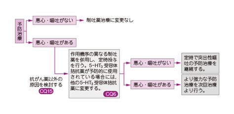 がん診療ガイドライン│制吐療法│アルゴリズム