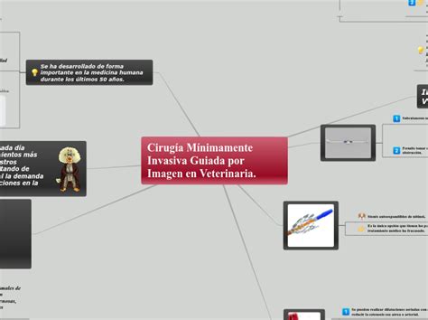 Cirugía Mínimamente Invasiva Guiada por Im Mind Map