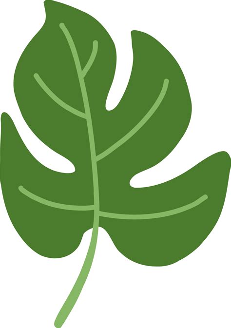 Monstera Leaf Freehand Drawing Png